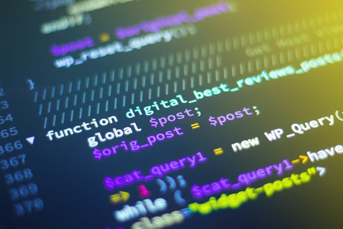 Developer working on API